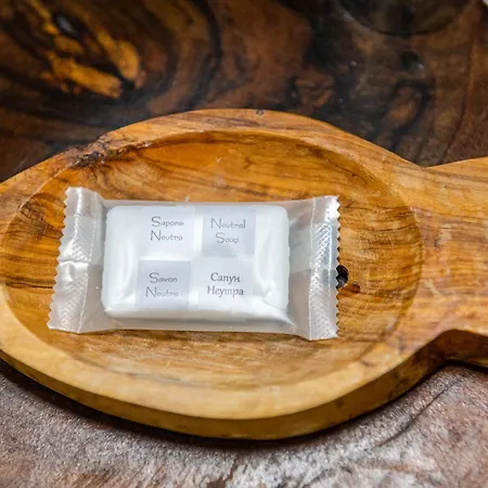 Apartment Afala Loft & Terrase - Heart Of Burgas