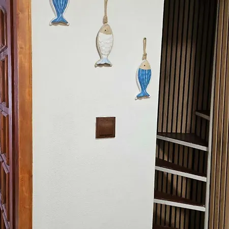 Afala Loft & Terrase - Heart Of Apartament Burgas